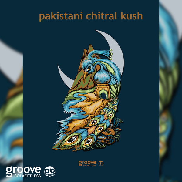 Pakistani Chitral Kush Poster
