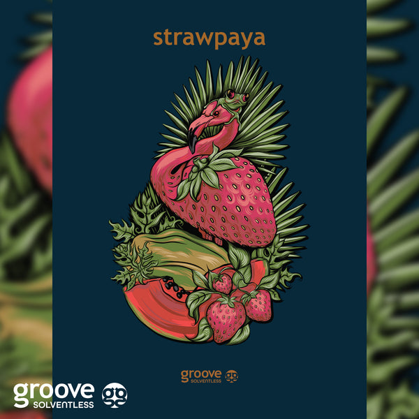 Strawpaya Poster